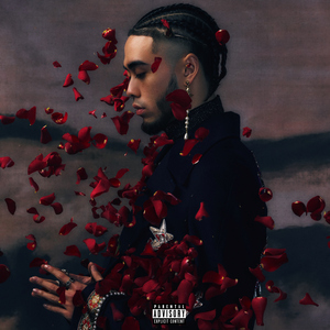 毛片免费在线播放
