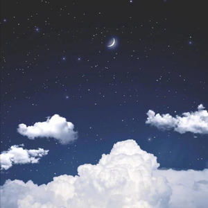 毛片免费在线播放
