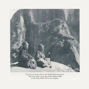 毛片免费在线播放
